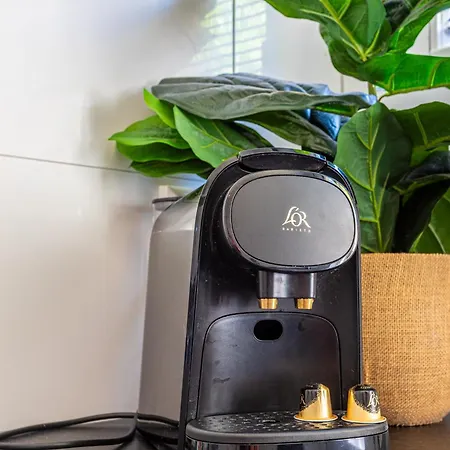 Stads * ロッテルダム