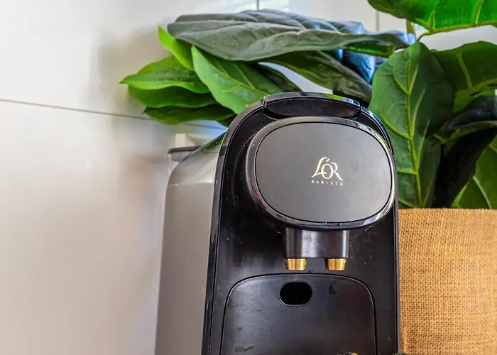 Stads * רוטרדם